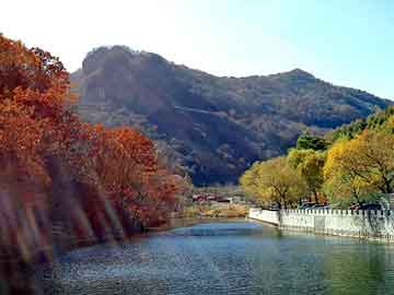 新澳天天开奖资料大全旅游团，逍客座套